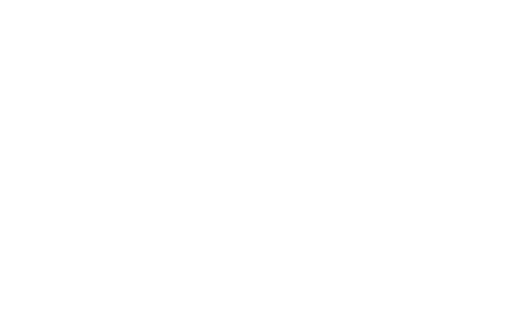 Face Team